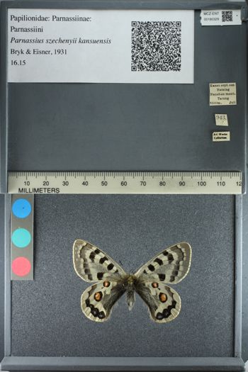 Media type: image;   Entomology 180329